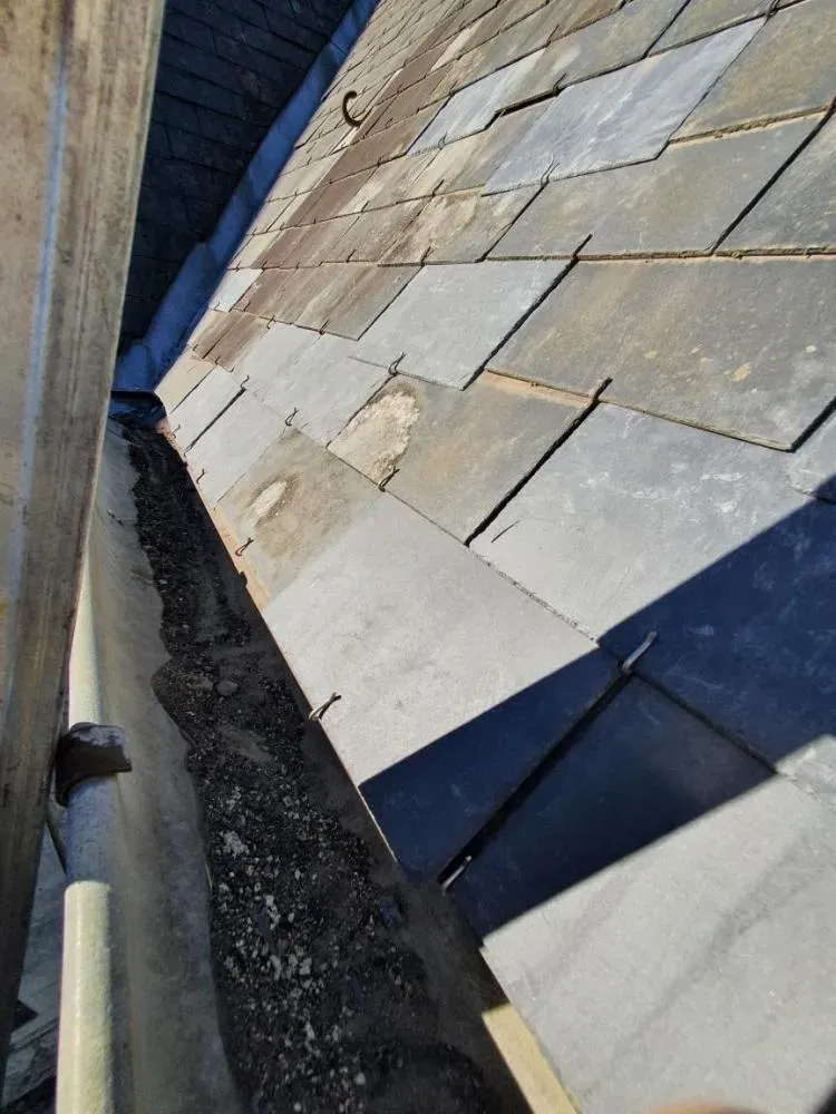 Réparation et nettoyage toiture